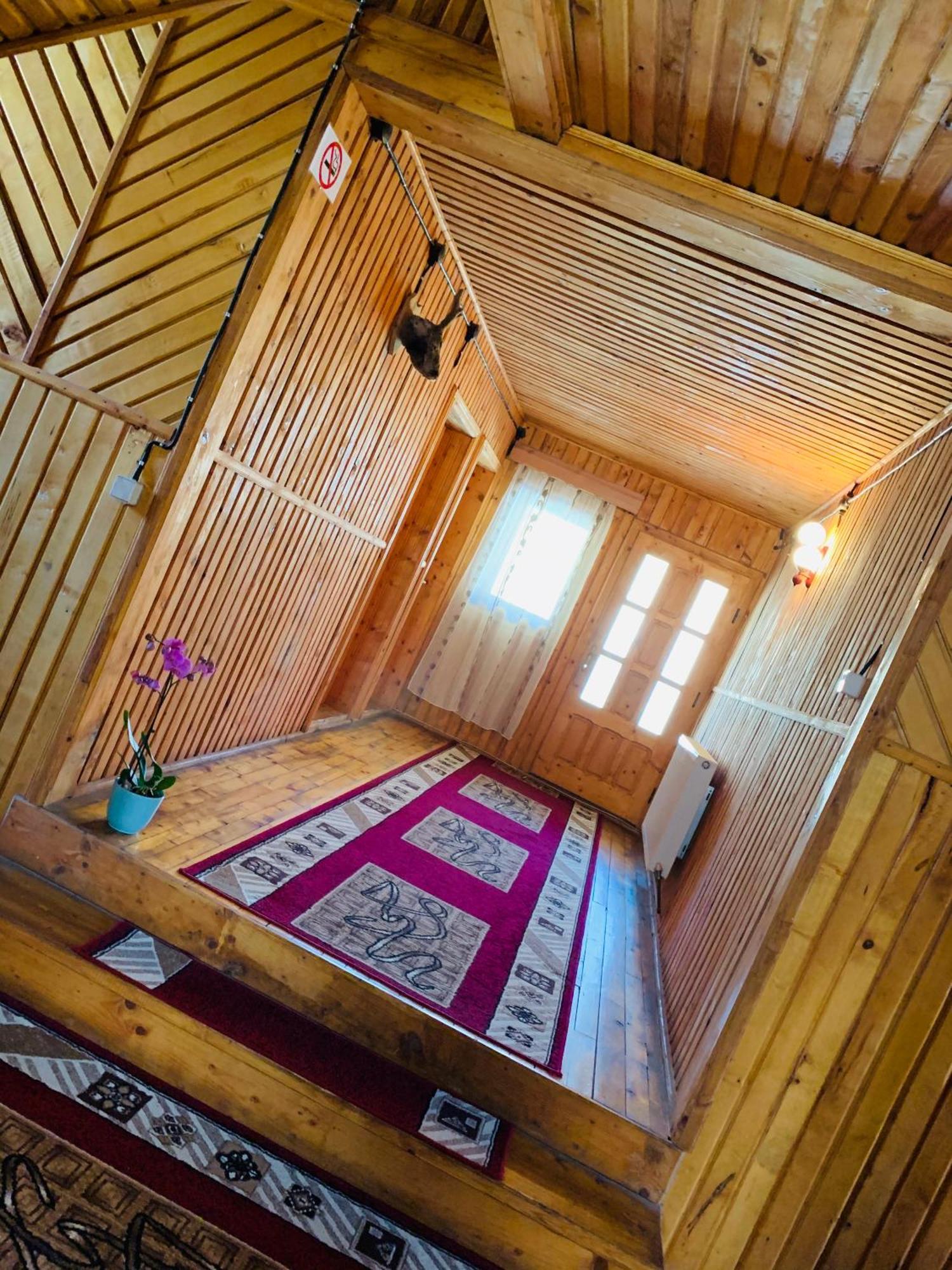 Casa Andu Hotel Dîmbovicioara Buitenkant foto