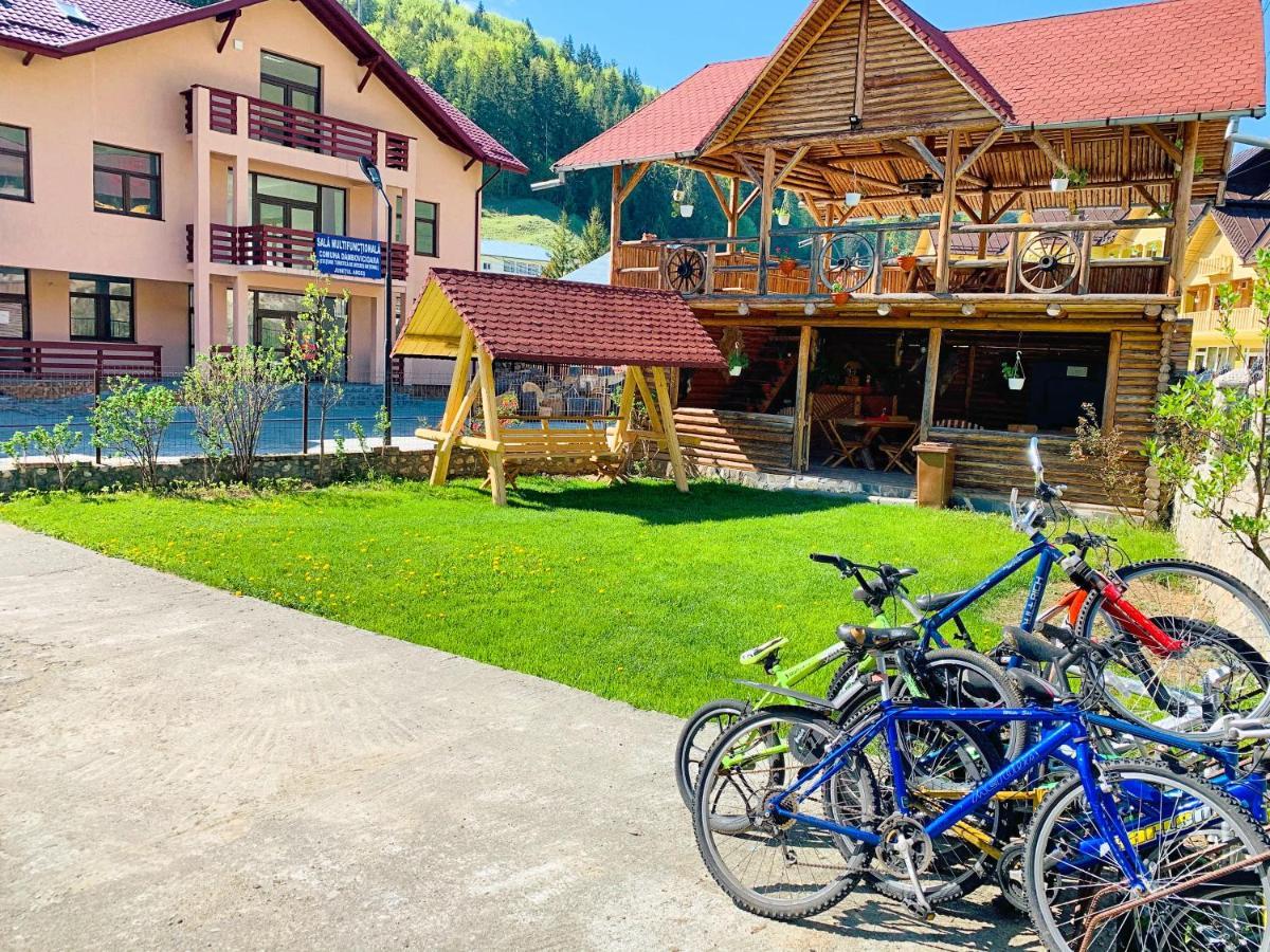 Casa Andu Hotel Dîmbovicioara Buitenkant foto