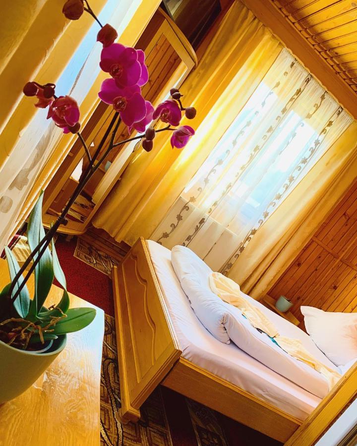 Casa Andu Hotel Dîmbovicioara Buitenkant foto