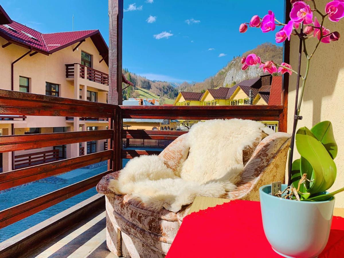 Casa Andu Hotel Dîmbovicioara Buitenkant foto